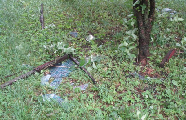 Vėtros padariniai Jonavoje – nuversti keli medžiai, žmonės nenukentėjo