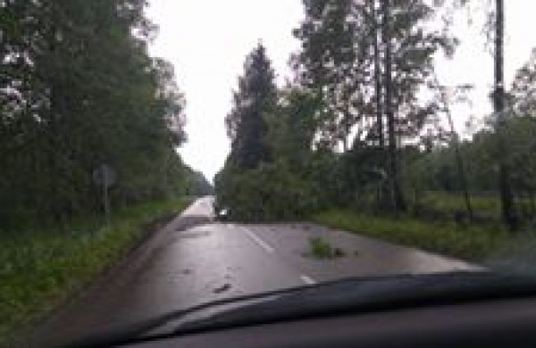 Vėtros padariniai Jonavoje – nuversti keli medžiai, žmonės nenukentėjo