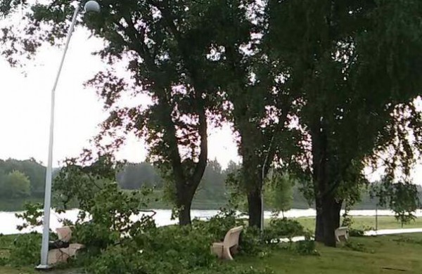 Vėtros padariniai Jonavoje – nuversti keli medžiai, žmonės nenukentėjo