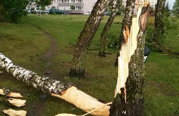 Vėtros padariniai Jonavoje – nuversti keli medžiai, žmonės nenukentėjo