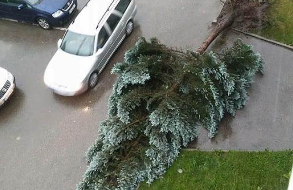 Vėtros padariniai Jonavoje – nuversti keli medžiai, žmonės nenukentėjo