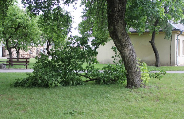 Tarnybos šalina vėtros padarinius, dalis gyventojų liko be elektros ir vandens