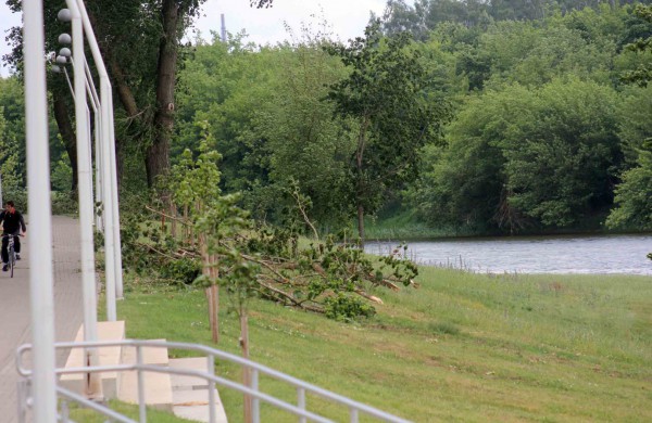 Tarnybos šalina vėtros padarinius, dalis gyventojų liko be elektros ir vandens