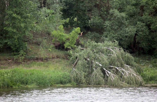 Tarnybos šalina vėtros padarinius, dalis gyventojų liko be elektros ir vandens