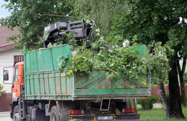 Tarnybos šalina vėtros padarinius, dalis gyventojų liko be elektros ir vandens