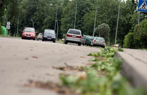Tarnybos šalina vėtros padarinius, dalis gyventojų liko be elektros ir vandens