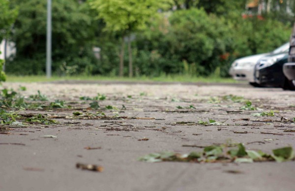 Tarnybos šalina vėtros padarinius, dalis gyventojų liko be elektros ir vandens
