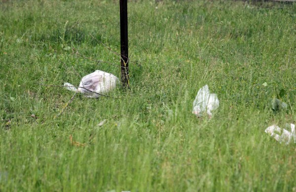 Tarnybos šalina vėtros padarinius, dalis gyventojų liko be elektros ir vandens
