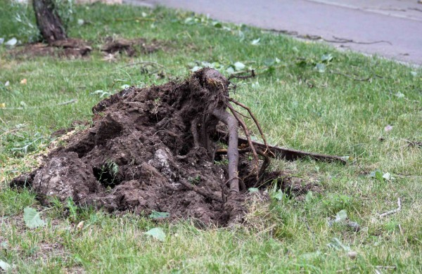 Tarnybos šalina vėtros padarinius, dalis gyventojų liko be elektros ir vandens