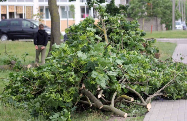 Tarnybos šalina vėtros padarinius, dalis gyventojų liko be elektros ir vandens