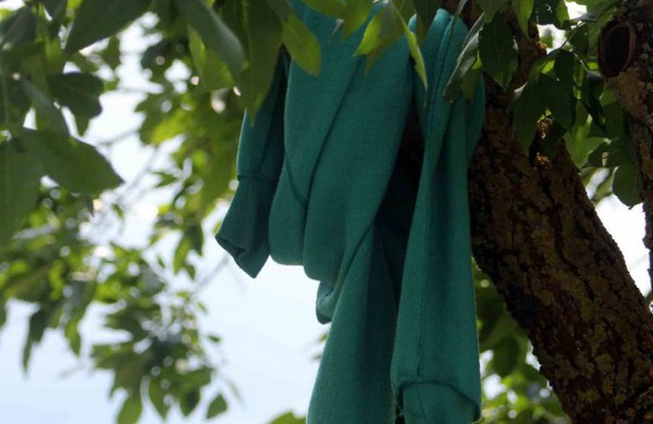 Tarnybos šalina vėtros padarinius, dalis gyventojų liko be elektros ir vandens