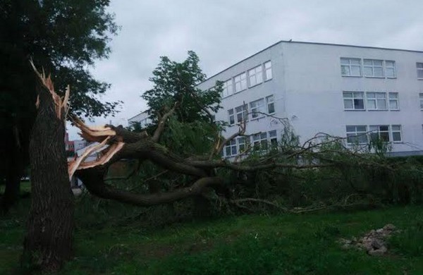 Tarnybos šalina vėtros padarinius, dalis gyventojų liko be elektros ir vandens