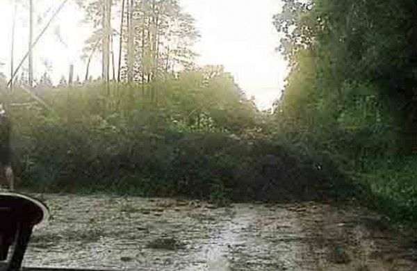 Tarnybos šalina vėtros padarinius, dalis gyventojų liko be elektros ir vandens