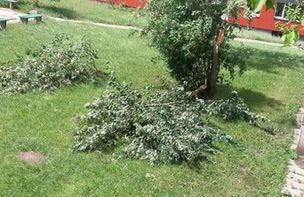 Tarnybos šalina vėtros padarinius, dalis gyventojų liko be elektros ir vandens