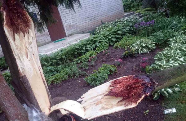 Tarnybos šalina vėtros padarinius, dalis gyventojų liko be elektros ir vandens