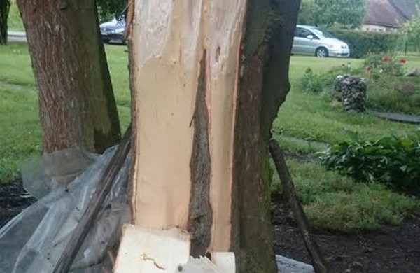 Tarnybos šalina vėtros padarinius, dalis gyventojų liko be elektros ir vandens