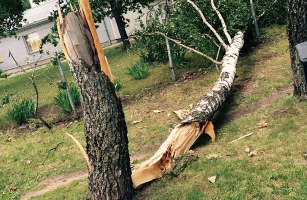 Tarnybos šalina vėtros padarinius, dalis gyventojų liko be elektros ir vandens