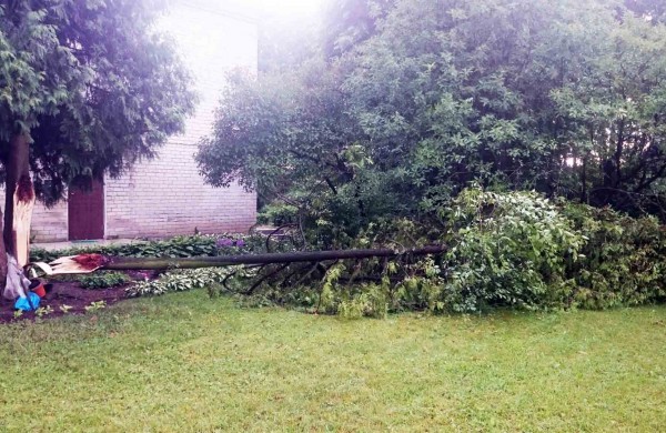 Tarnybos šalina vėtros padarinius, dalis gyventojų liko be elektros ir vandens