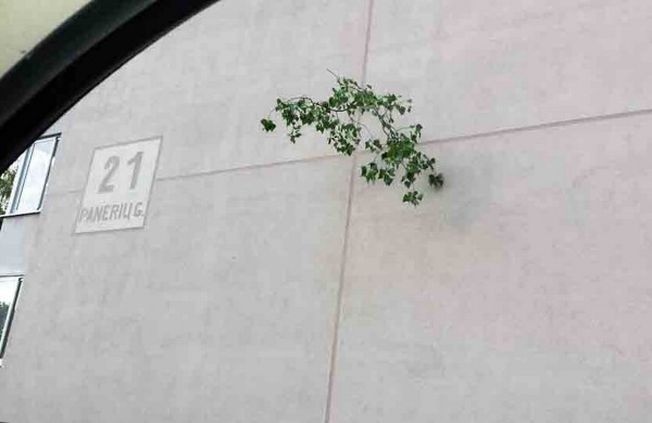 Tarnybos šalina vėtros padarinius, dalis gyventojų liko be elektros ir vandens