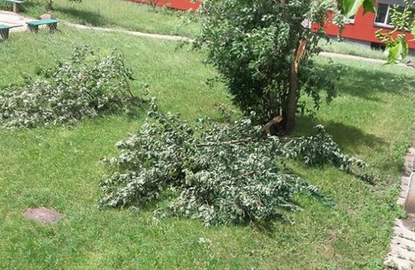 Tarnybos šalina vėtros padarinius, dalis gyventojų liko be elektros ir vandens