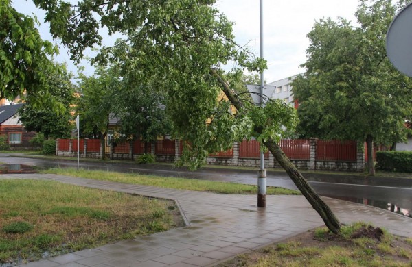 Tarnybos šalina vėtros padarinius, dalis gyventojų liko be elektros ir vandens
