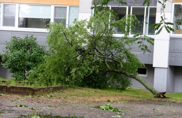 Tarnybos šalina vėtros padarinius, dalis gyventojų liko be elektros ir vandens