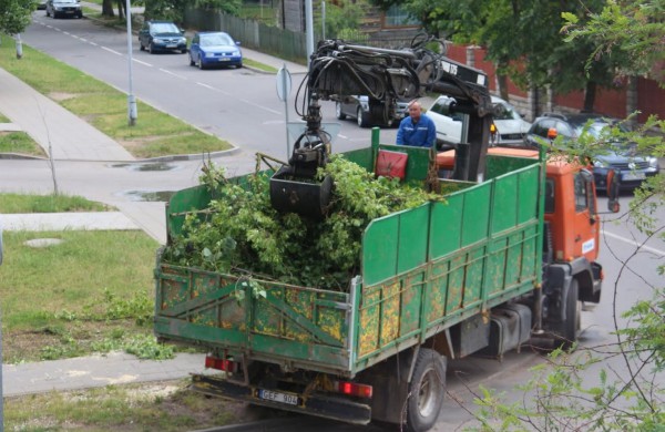 Tarnybos šalina vėtros padarinius, dalis gyventojų liko be elektros ir vandens