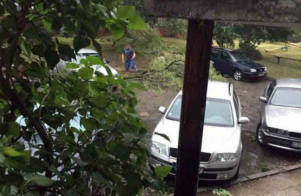 Tarnybos šalina vėtros padarinius, dalis gyventojų liko be elektros ir vandens