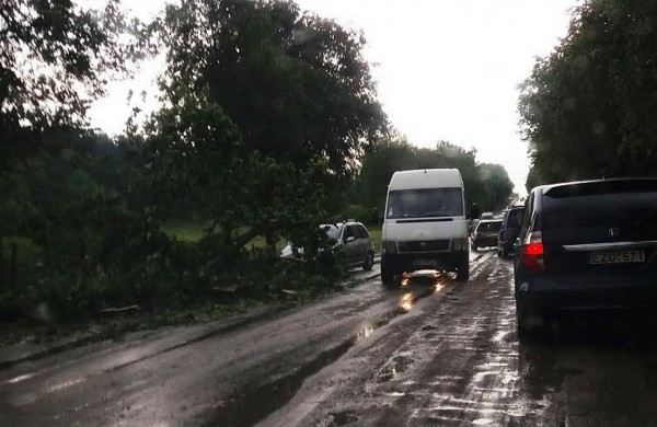 Tarnybos šalina vėtros padarinius, dalis gyventojų liko be elektros ir vandens