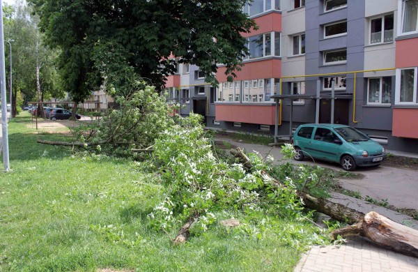 Tarnybos šalina vėtros padarinius, dalis gyventojų liko be elektros ir vandens