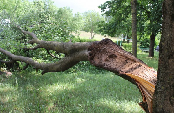 Tarnybos šalina vėtros padarinius, dalis gyventojų liko be elektros ir vandens