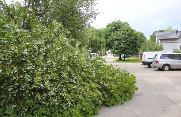 Tarnybos šalina vėtros padarinius, dalis gyventojų liko be elektros ir vandens