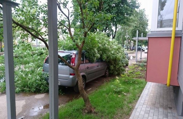 Tarnybos šalina vėtros padarinius, dalis gyventojų liko be elektros ir vandens