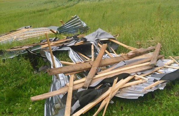 Bendrovėje „Achema“ vėtra išvartė apie 40 medžių