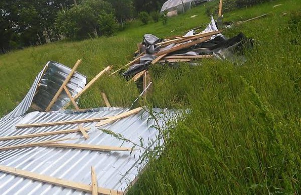 Bendrovėje „Achema“ vėtra išvartė apie 40 medžių