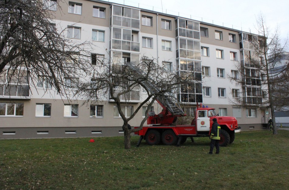 Užmigusį šeimininką iš buto išnešė ugniagesiai