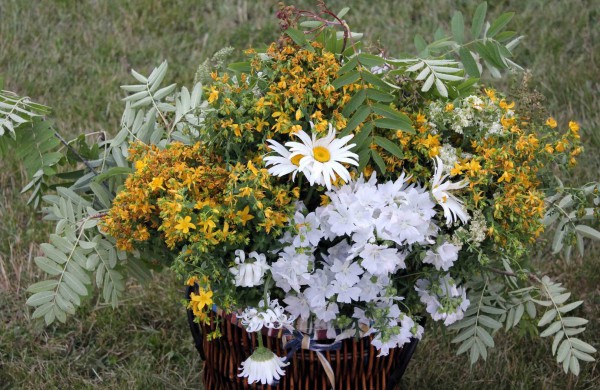 Joninės Jonavoje: Jonų respublika turi naują prezidentą