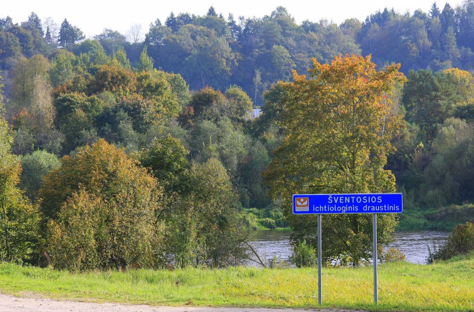 Po Joninių nakties – tyrimas dėl kūdikio mirties