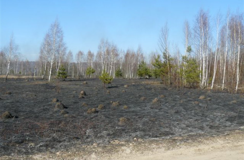 Pievų gaisrai – rekordiškai ankstyvą pavasarį