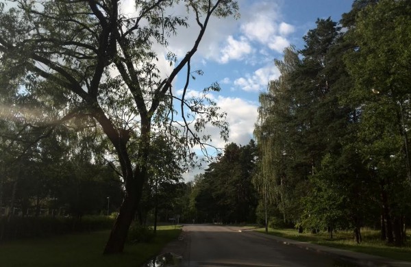 Ruklos miestelyje vis dar šalinamos buvusios audros pasekmės 