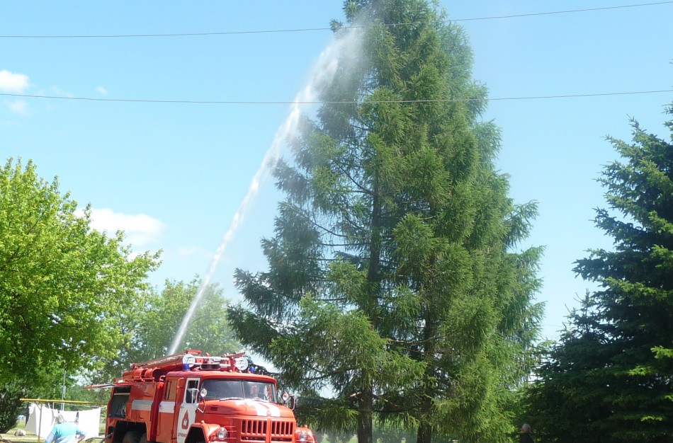 Upninkuose – katės gelbėjimo drama, gaisrininkai dirbo tris valandas