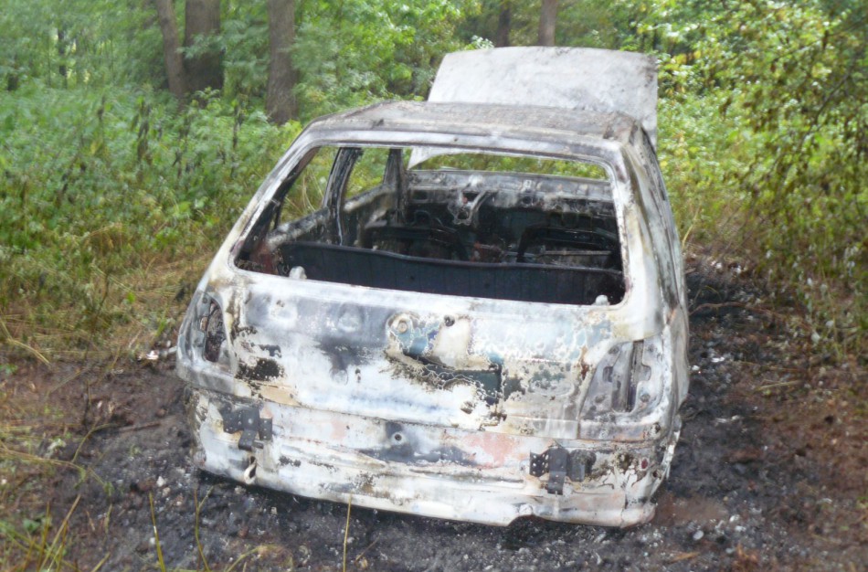 Važiavo gesinti miško – rado degantį automobilį