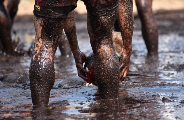 Sporto forumo "vinis" - purvo tinklinis (fotoakimirkos)
