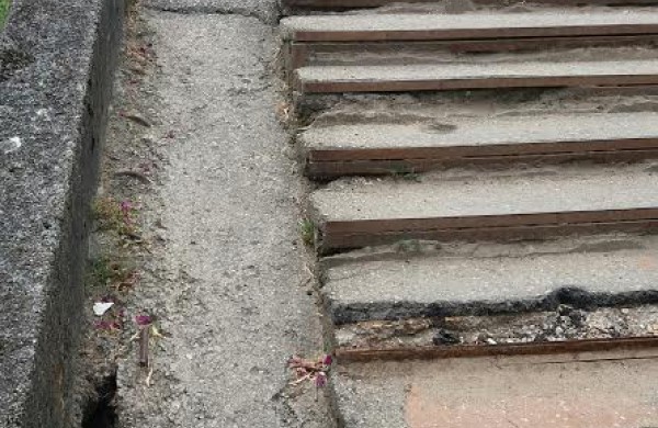 Savivaldybės administracijos direktorius – Remigijui Osauskui: „Visiška nesąmonė“