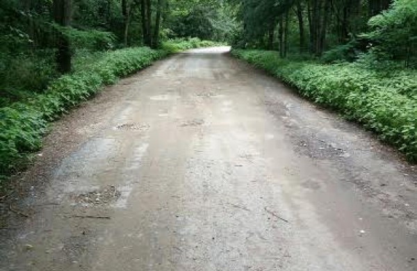 Ar tikrai gražėjanti ir besipuošianti Jonava?