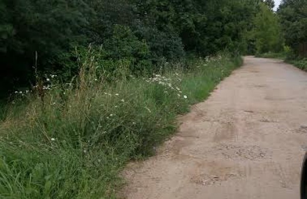 Ar tikrai gražėjanti ir besipuošianti Jonava?