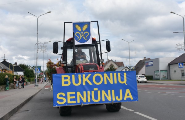 Jonavos gimtadienį plovęs lietus šventinės nuotaikos nesugadino