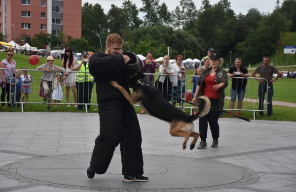 Jonavos gimtadienį plovęs lietus šventinės nuotaikos nesugadino