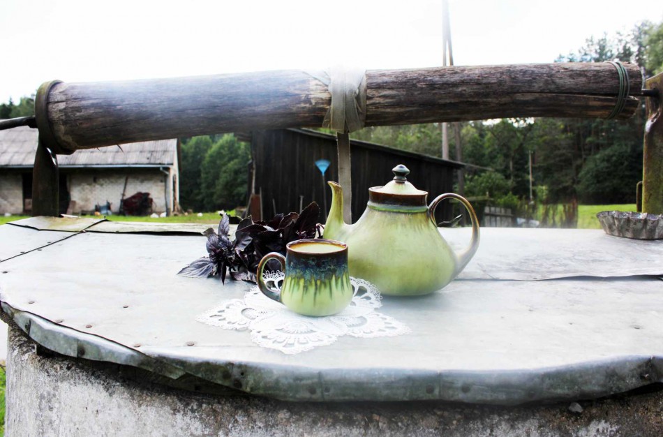 Jonavos rajone ištirtas šachtinių šulinių vanduo, kurį maistui vartoja nėščios moterys ir kūdikiai 