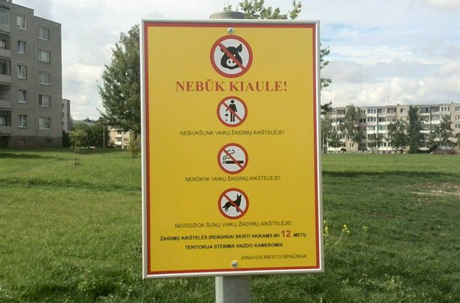 Vaizdo stebėjimo kamerų medžiaga: paaugliai niokoja naują vaikų žaidimų aikštelę